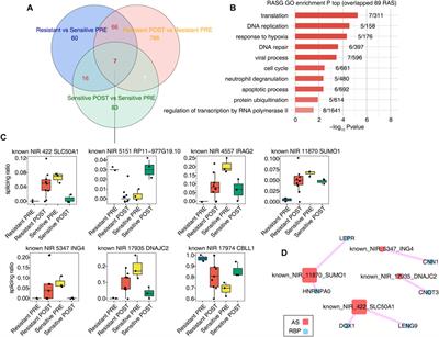 Genome-wide identification of alternative splicing associated with histone deacetylase inhibitor in cutaneous T-cell lymphomas